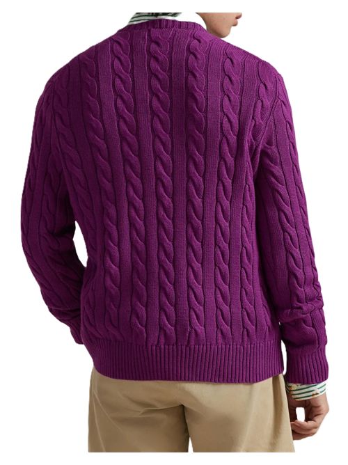 Polo Ralph LaurenMaglione con ricamo Polo Ralph Lauren | 710-775885-539PURPLE DAWN